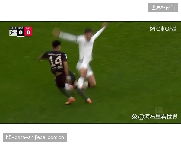 归化球员卡斯特罗普的加入提升了边后卫位置的深度，其德甲经验将为球队带来帮助。